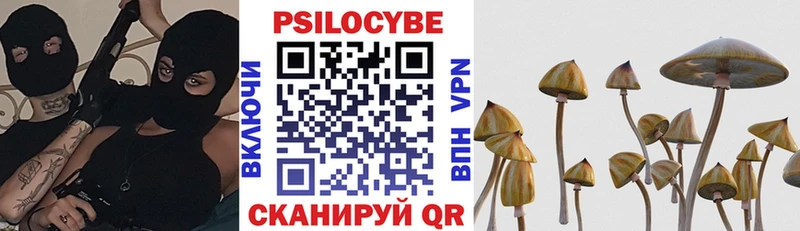 Купить где  Краснообск  Псилоцибиновые грибы MAGIC MUSHROOMS 